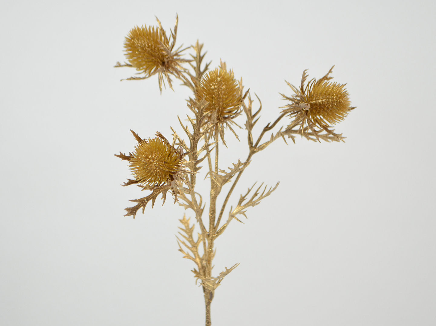 Deko Florale - Tidsel x4 metallic, 55cm, guld