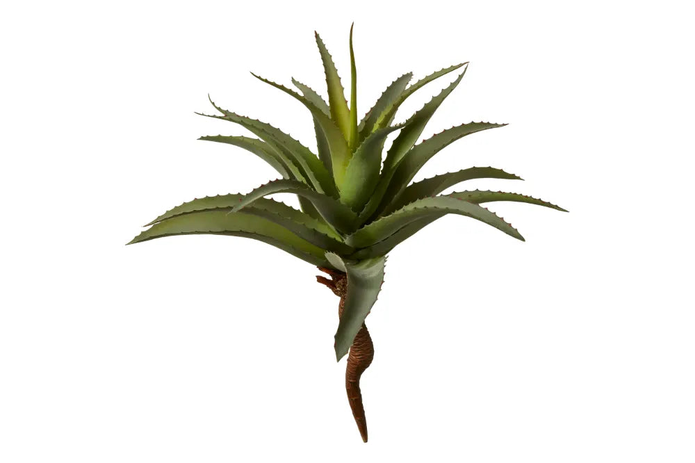 Speedtsberg Kunstig Aloe Vera Plante Grøn H35cm