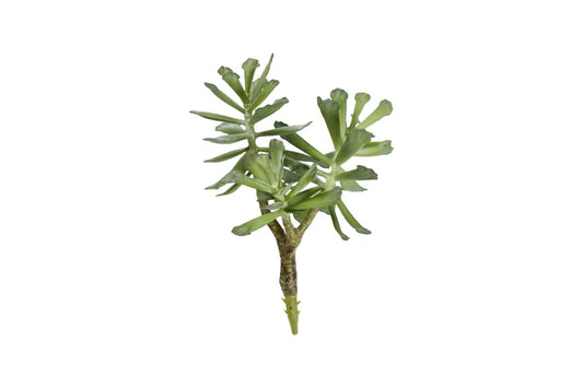 Speedtsberg - Husløg 3 hoveder