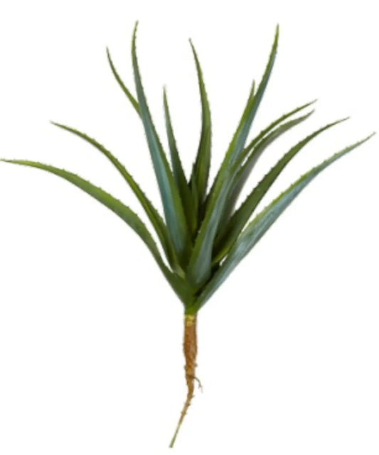 Speedtsberg Kunstig Aloe Vera, H43cm i Grøn - Naturtro Plante