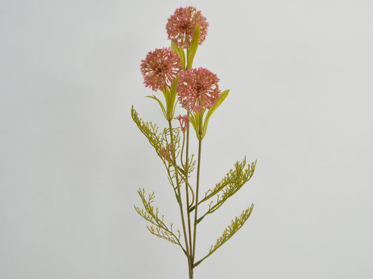 Deko Florale - Prydløg - Allium x3, 66cm, lyserød
