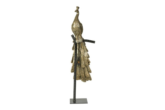 Speedtsberg - Påfugl