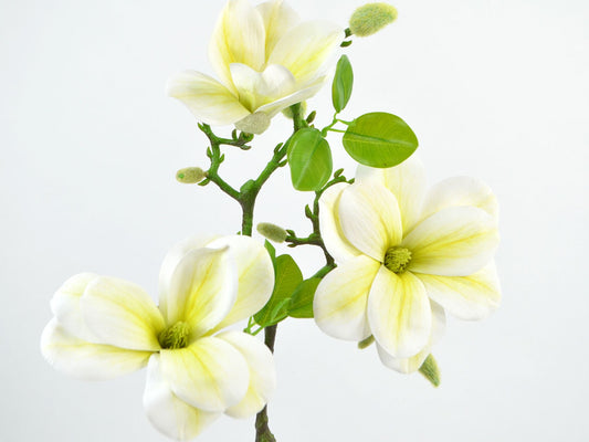 Deko Florale Magnolia, 3 Blomster, Hvid, H56 cm - Kunstig Dekoration