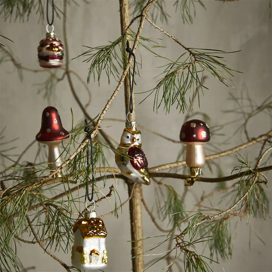 Speedtsberg - Svampe m/clips