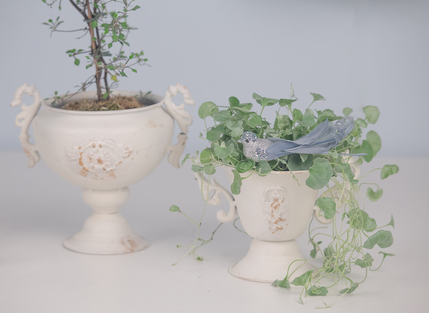 La Vida - Pokal potte med plast indsats hvid stor