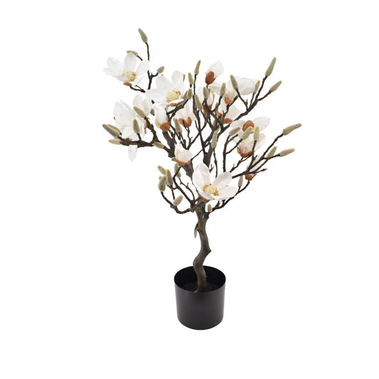 La Vida - Kunstig Magnolia træ, hvid, lille i sort plastpotte