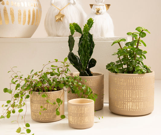 La Vida Ziggi Potte i Cream/Guld Ø11xH9,5 cm