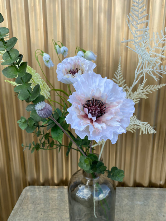 Barbara - Valmue creme