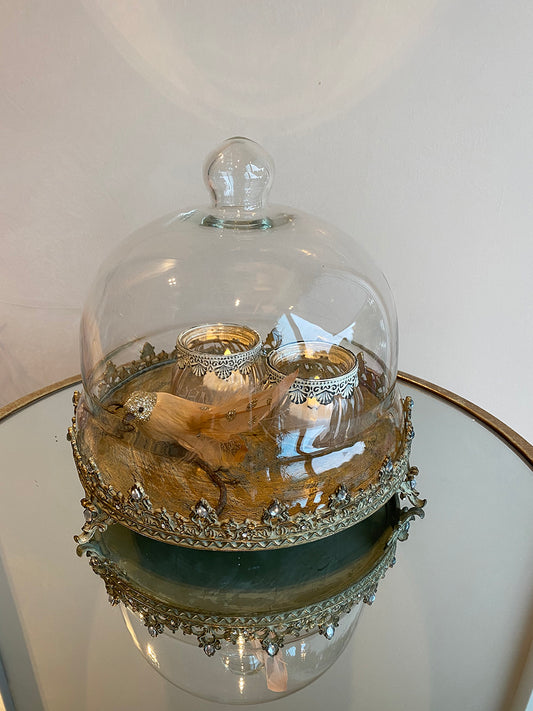 La Vida - Fad med glaskuppel og similisten