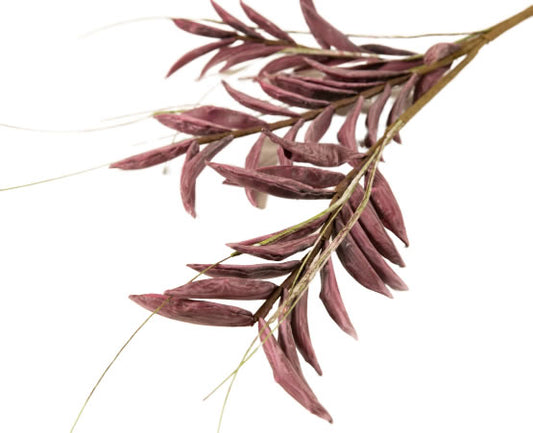 La Vida Kunstig Blomst i Bordeaux, Længde 64 cm