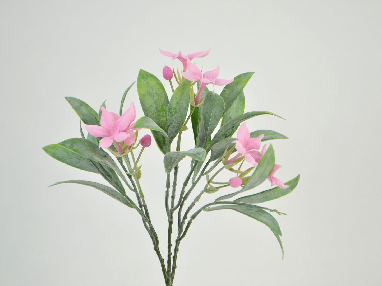 Deko Florale - Jasmin blomst, 25 cm 3 stilke, Lyserød