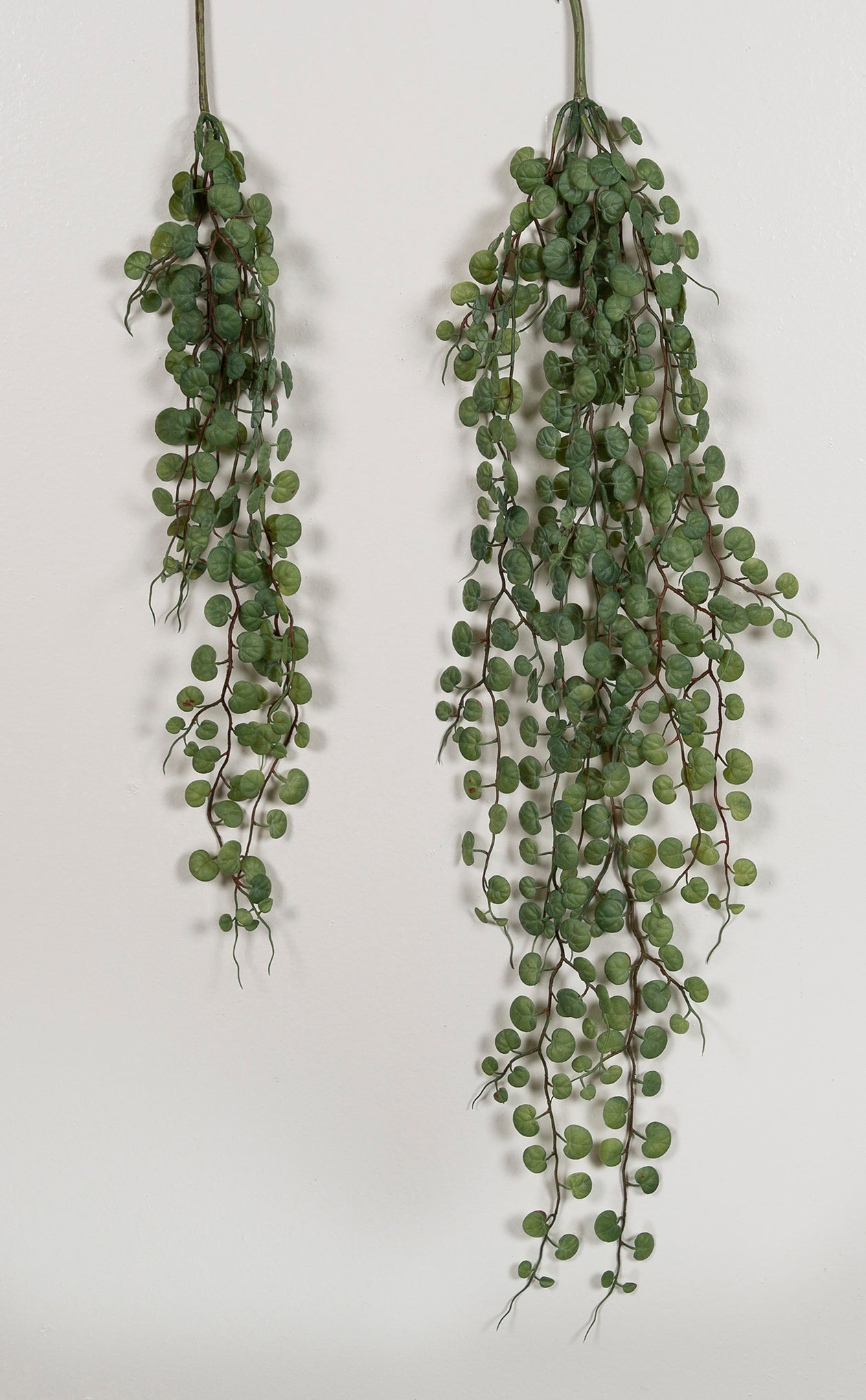 La Vida - Bladranke, 8 grene