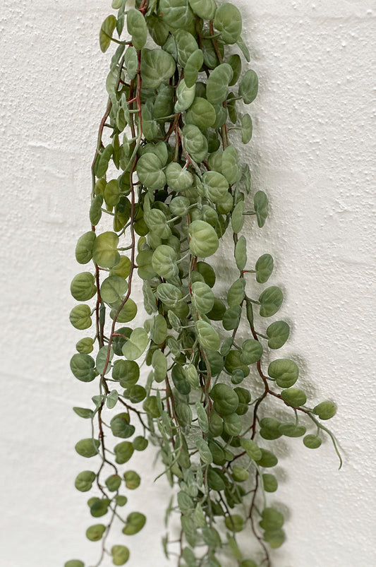 La Vida - Bladranke, 8 grene