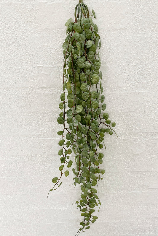 La Vida - Bladranke, 8 grene