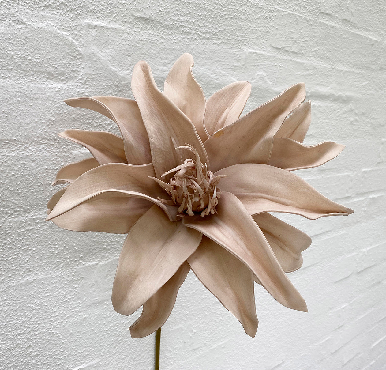 La Vida - Kunstig blomst, beige L65 cm