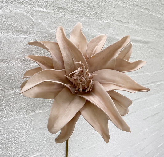 La Vida - Kunstig blomst, beige L65 cm