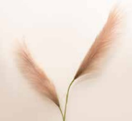 La Vida - Kunstig blomst, rosa, 2 grene,2 blomster