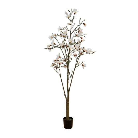 La Vida - Kunstigt magnolia træ, hvid, i sort plastpotte