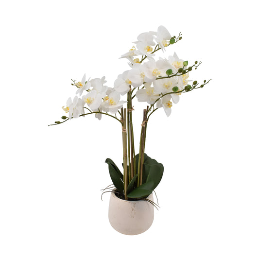 La Vida Kunstig Orkidé, Hvid, 7-grenet, Hvid Potte, H70 cm