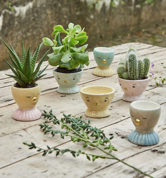 Speedtsberg - Skjuler m/ansigt Skjuler, 3 varianter, Rosa/Gul/Aqua