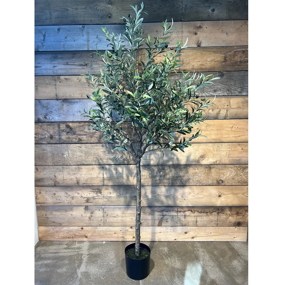 La Vida - Kunstigt oliventræ I sort plastikpotte