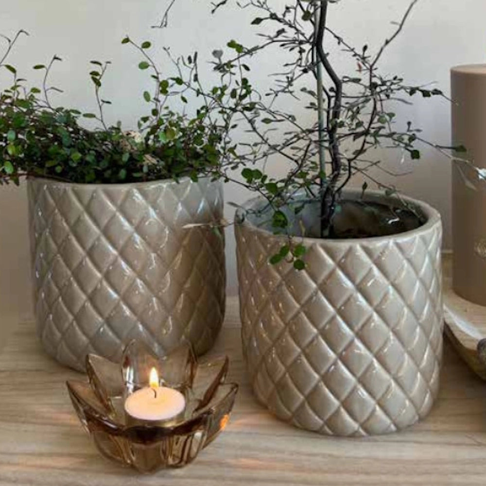 La Vida - Celia potte, stor og ille