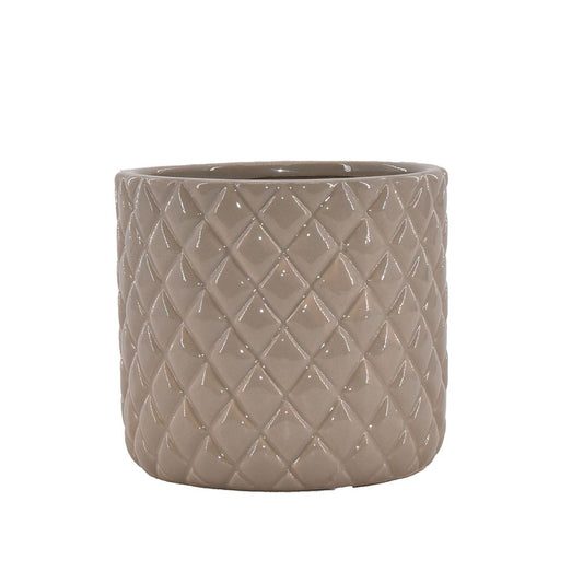 La Vida - Celia potte, stor