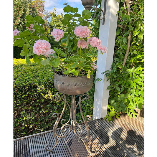 La Vida - Potte på opsats