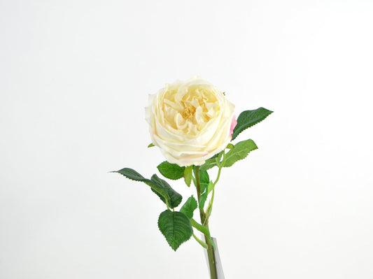 Deko Florale Cabagerose med Real Touch 59cm i Creme