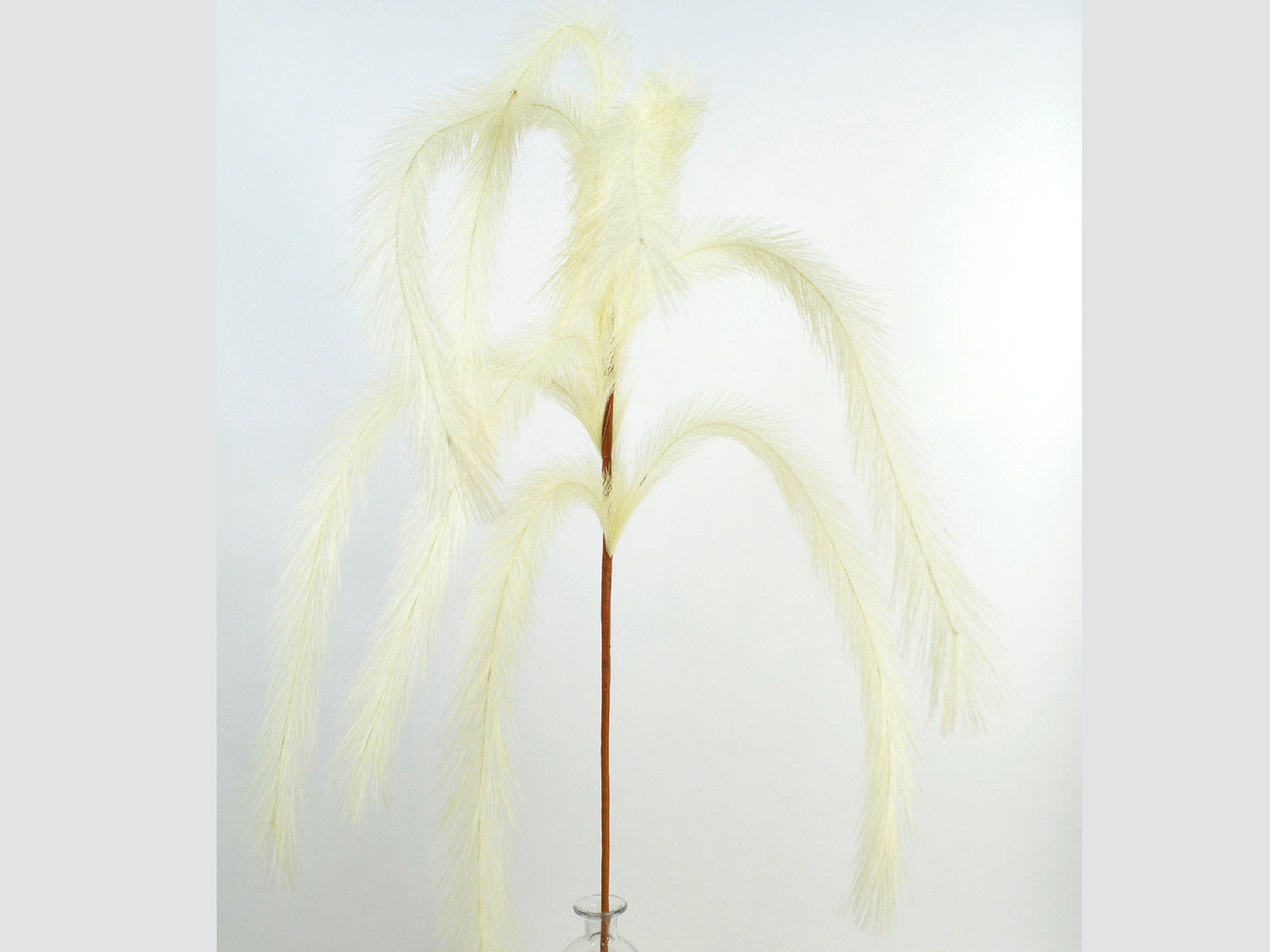 Deko Florale - Pampas græs gren, 139cm, hvid