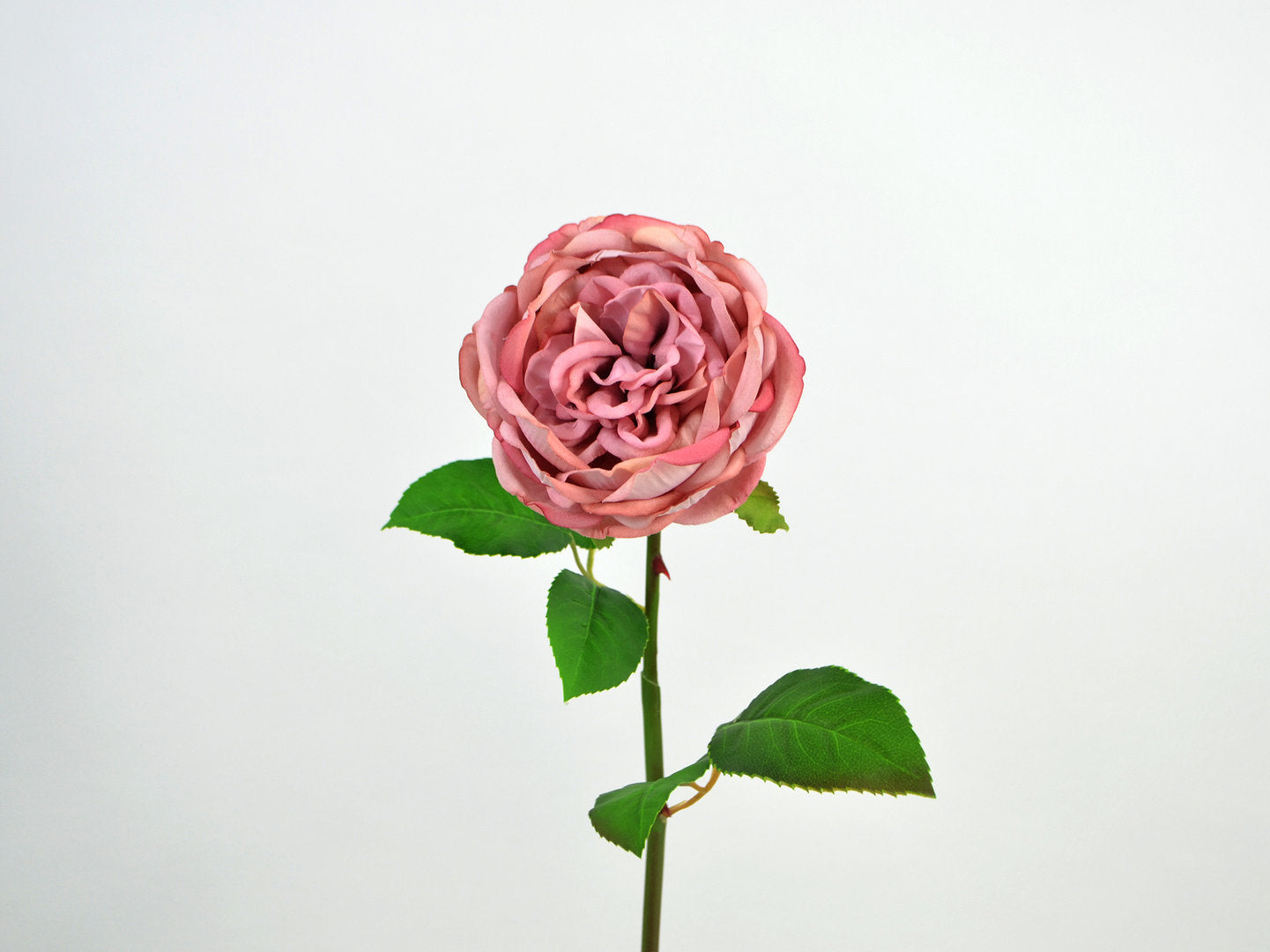 Deko Florale - Rose dobbelt, fløjl, 49cm, pink