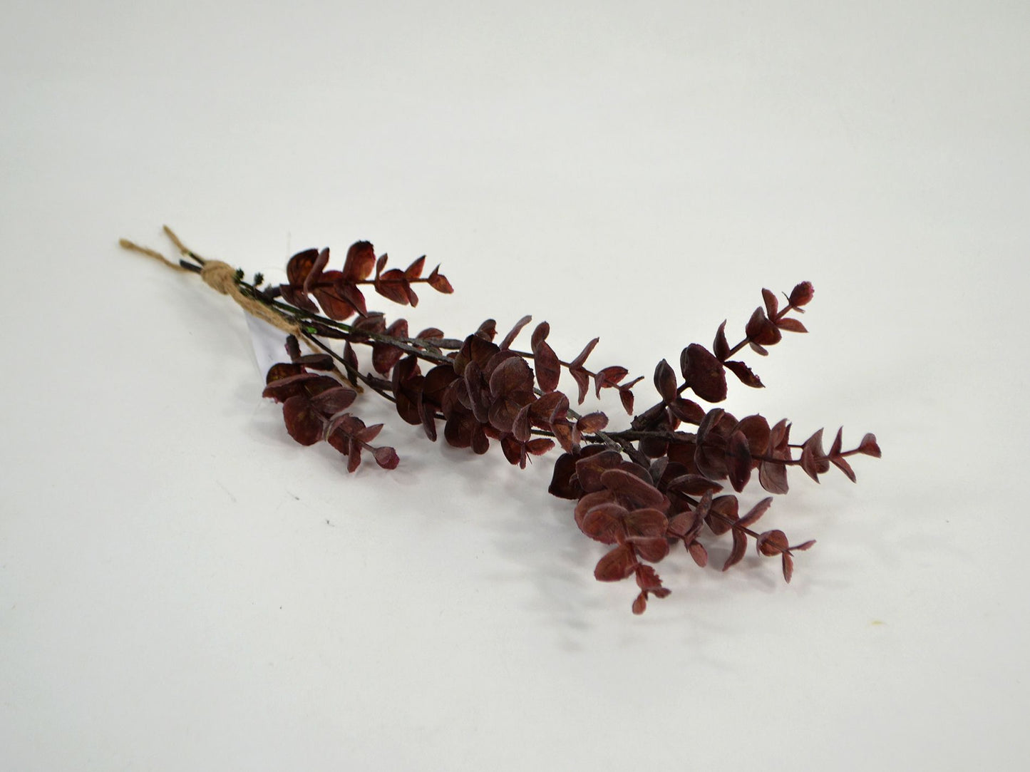 Deko Florale - Eukalyptus gren