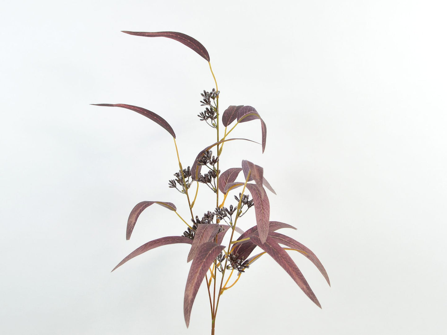 Deko Florale - Eukalyptusgren, lilla