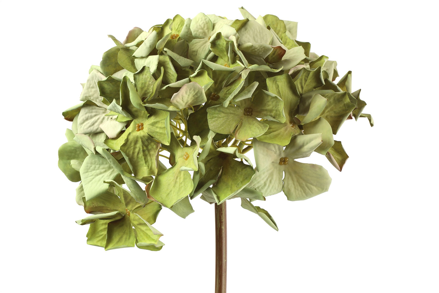 Barbara - Hortensia XXL grøn/lilla