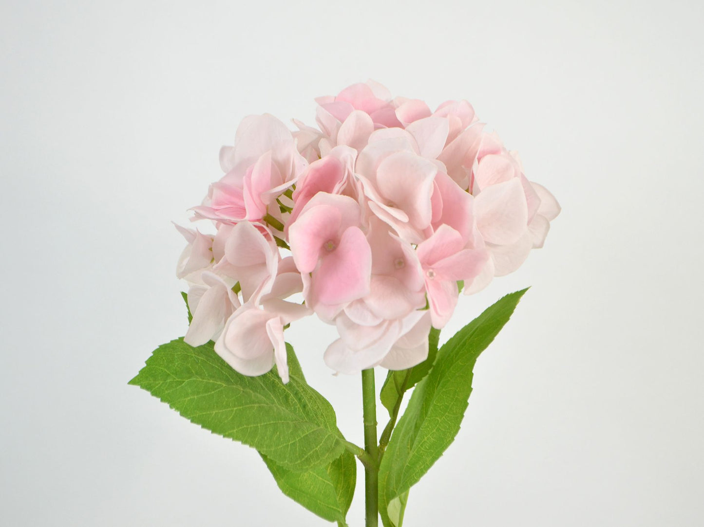 Deko Florale - Hortensia, 1 blomst, 2 blade, 46cm, lyserød