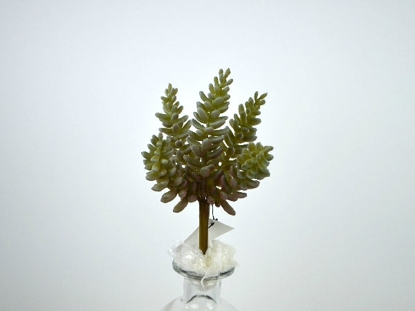 Deko Florale - Sukkulent grene x5