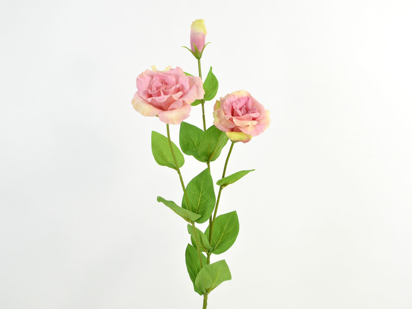Deko Florale - Lisianthus real touch, 71cm, lyserød/grøn
