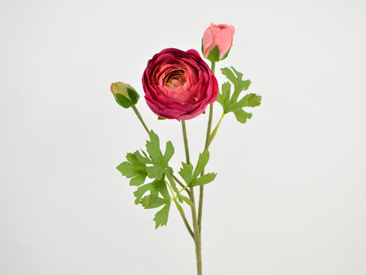 Deko Florale - Ranunculus(Smørblomst) grenx3, 50cm, pink-abrikos