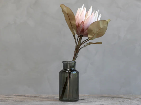 Chic Antuque - Fleur Protea Blomst H66
