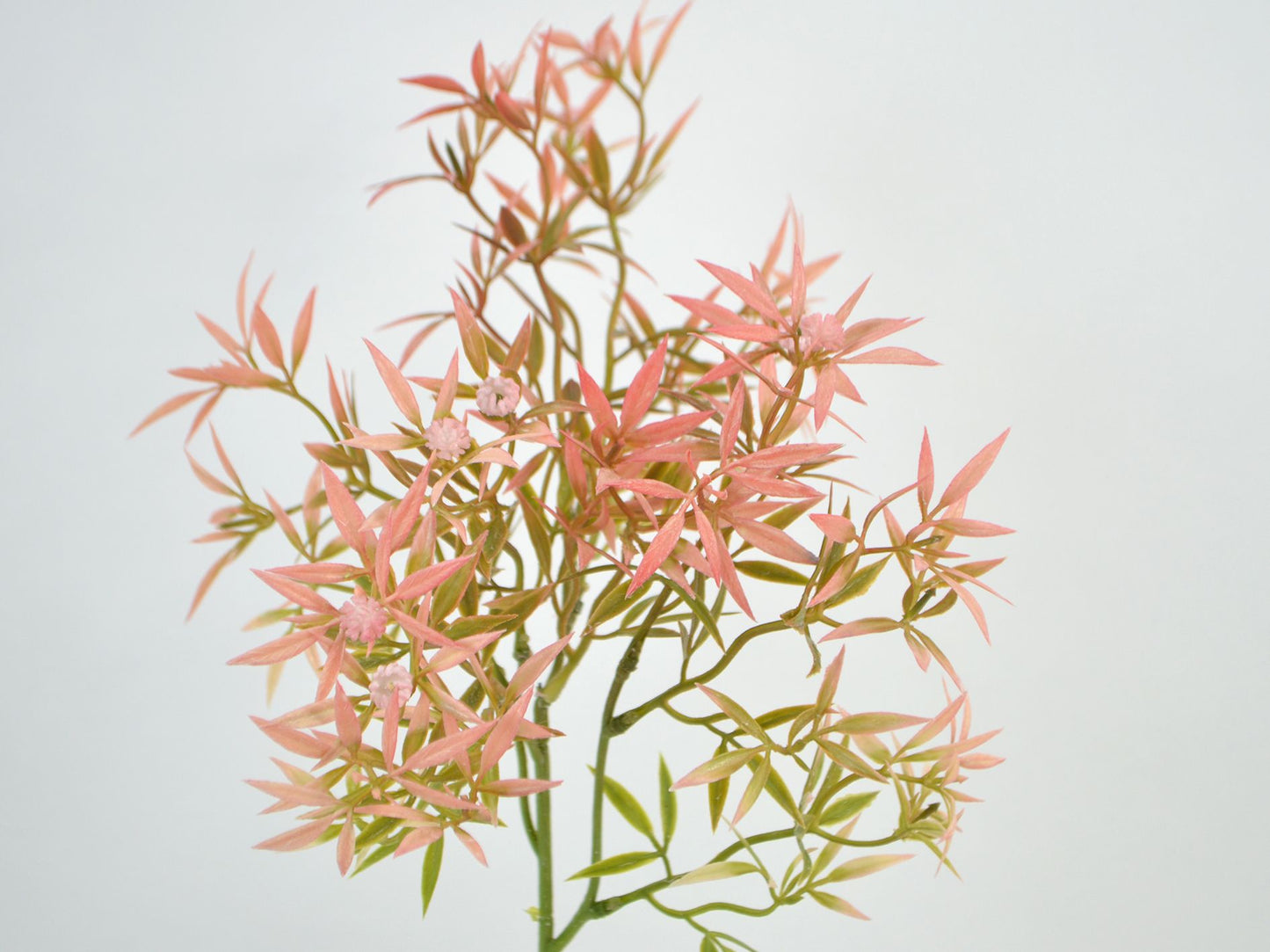 Deko Florale - Bladkvist, pink