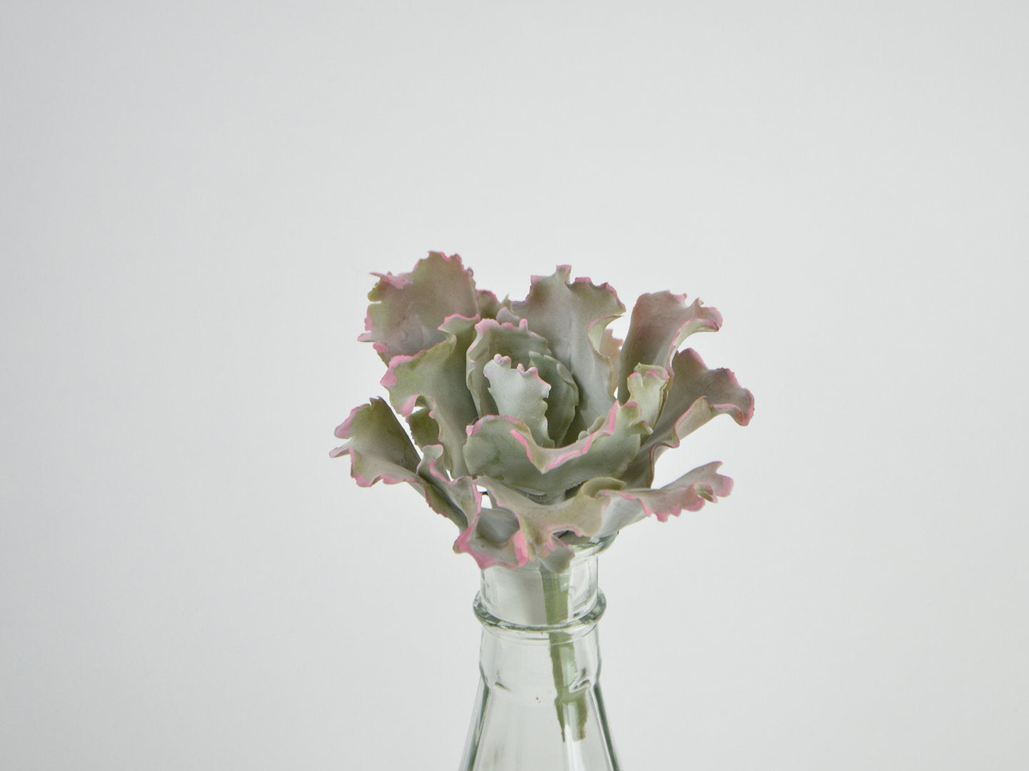 Deko Florale - Sukkulent buet pluk, grøn-mallow