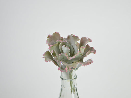 Deko Florale - Sukkulent buet pluk, grøn-mallow