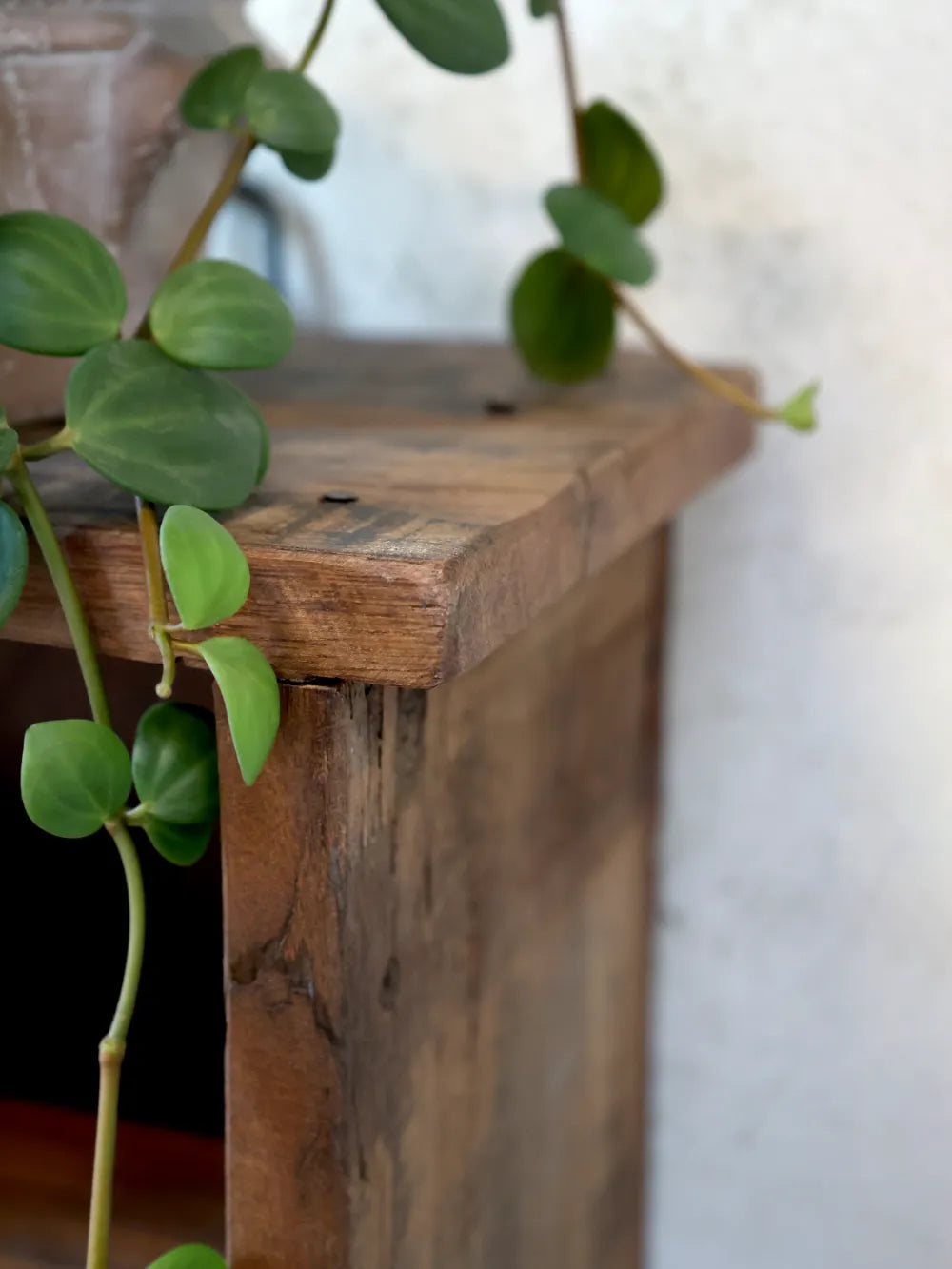 Chic Antique - Grimaud Reol