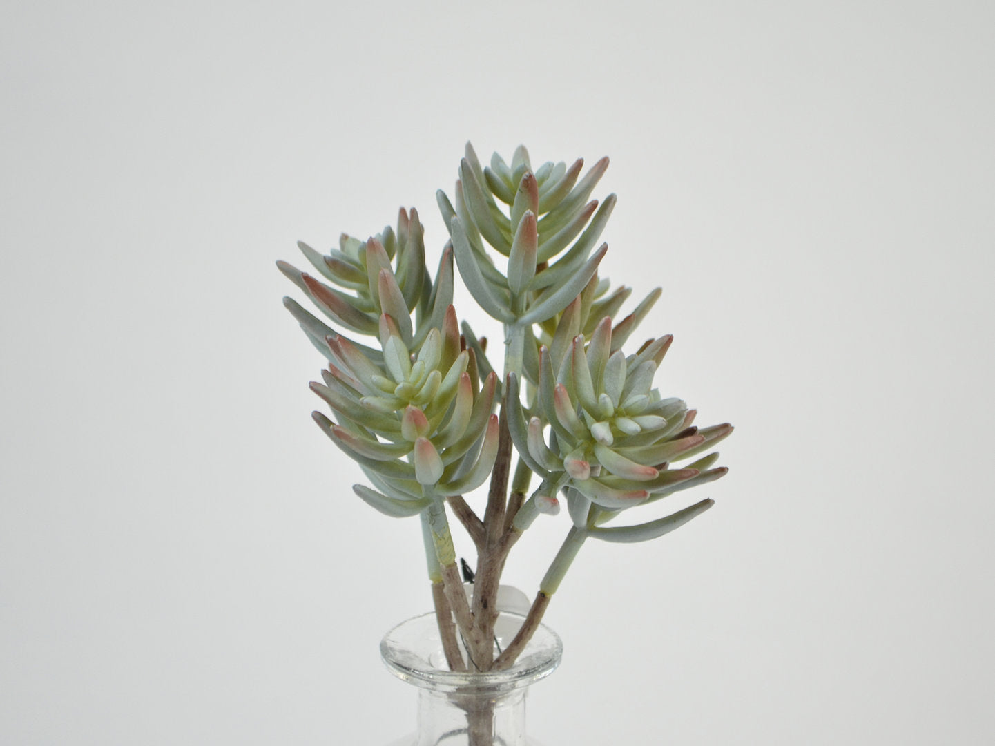 Deko Florale - Nål Sukkulent x7