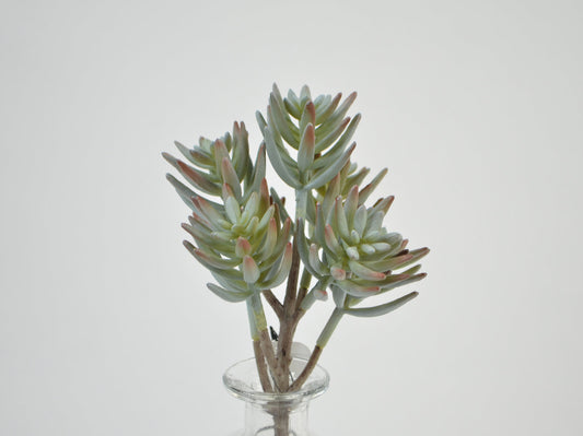 Deko Florale - Nål Sukkulent x7