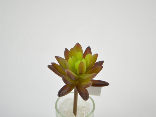 Deko Florale Lysegrøn Sukkulent Pick 12cm