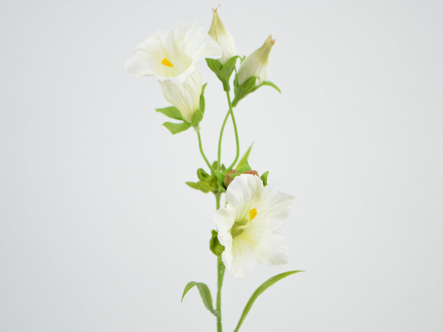 Deko Florale - Gentian gren x2, 36cm, cremefarvet