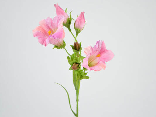 Deko Florale - Gentian gren x2, 36cm, pink