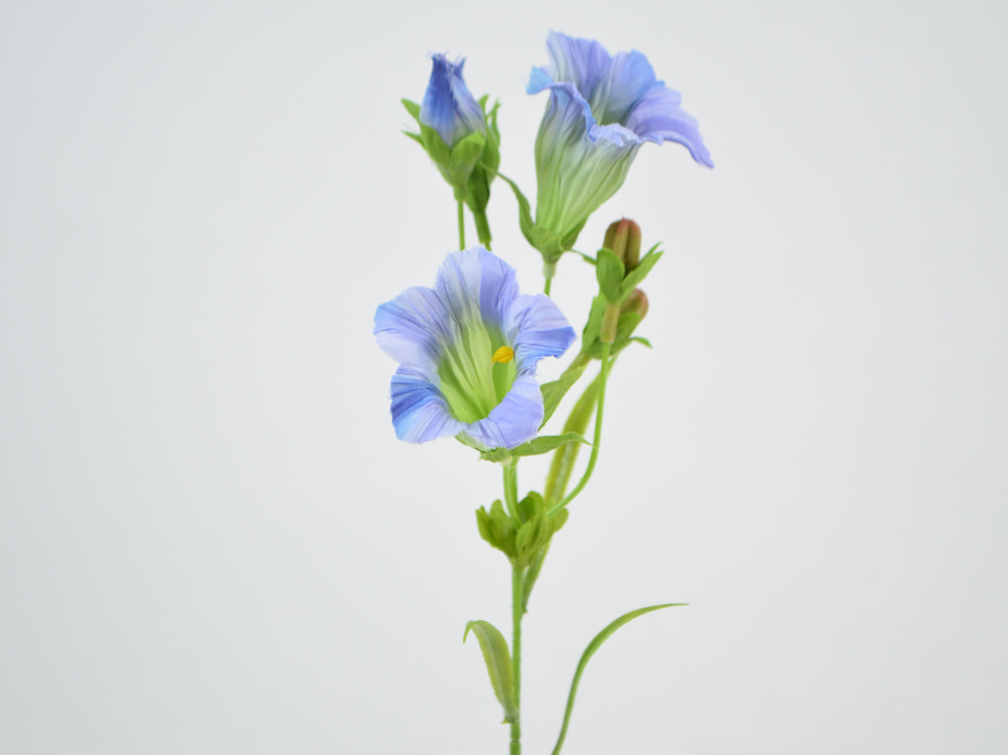 Deko Florale - Gentian gren x2, 36cm, Blå
