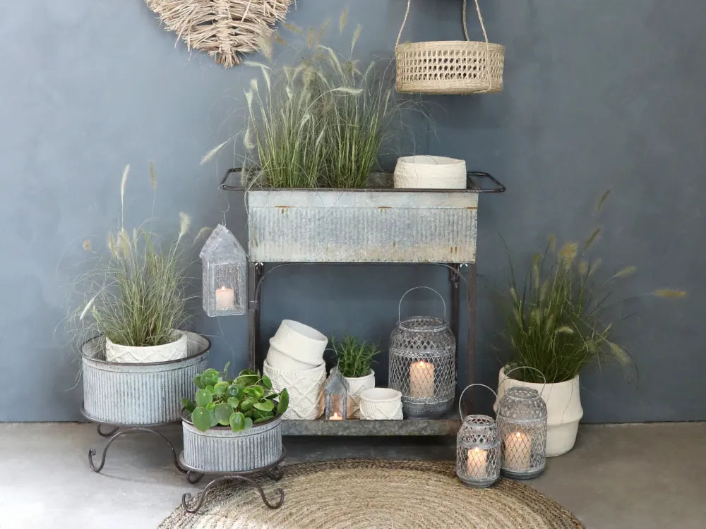 Chic Antique - Plantekasse på hjul til dekoration